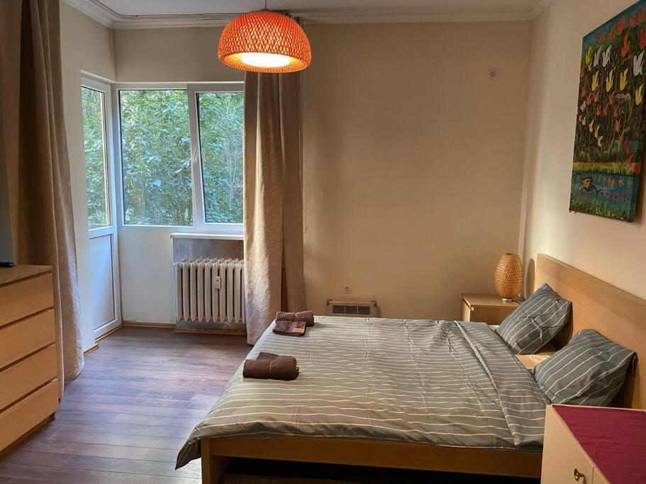 Opera 2 With Wifi & Tv Apartment Sofia